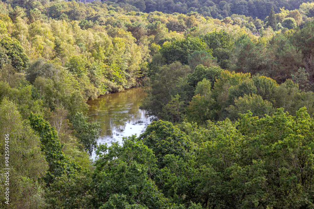Zone humide - vue sur une rivière en milieu forestier