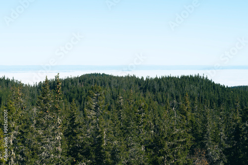 View North-Eastwards from the Tjuvåskampen Hill, part of the Totenåsen Hills, Norway. photo