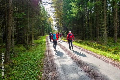 People walking on a gravel road in the sunshine at a spruce forest