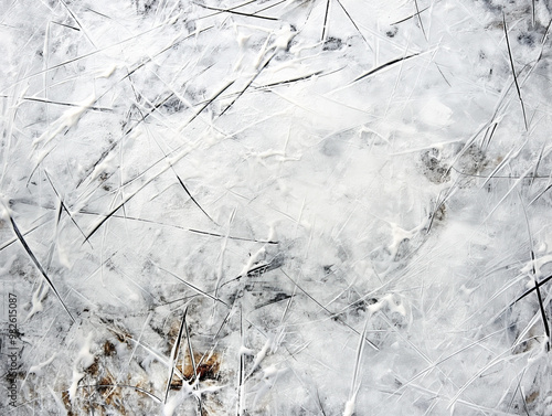 Hockey Rink Texture