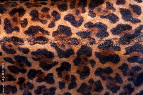 leopard skin pattern