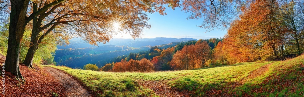 Autumn Forest Path: Golden Leaves and Sunlight Autumn Forest Path: Golden Leaves and Sunlight