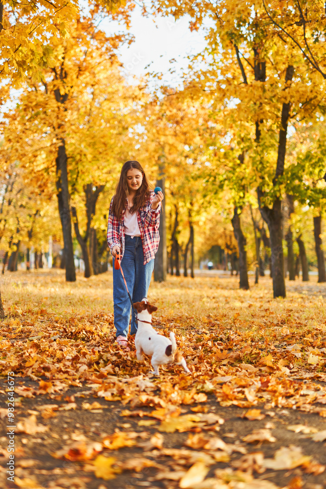 Girl playing in autumn park with a funny Jack Russell Terrier. Girl playing in autumn park with a funny Jack Russell Terrier.