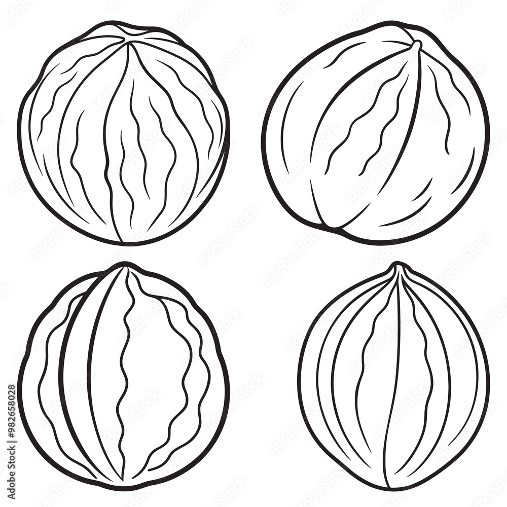 3d rendering of dynamic walnut with silhouette beautiful line art 3d rendering of dynamic walnut with silhouette beautiful line art