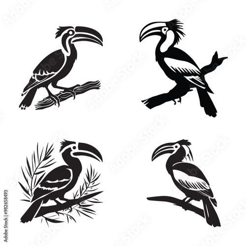 Black and white vector silhouettes set of hornbill