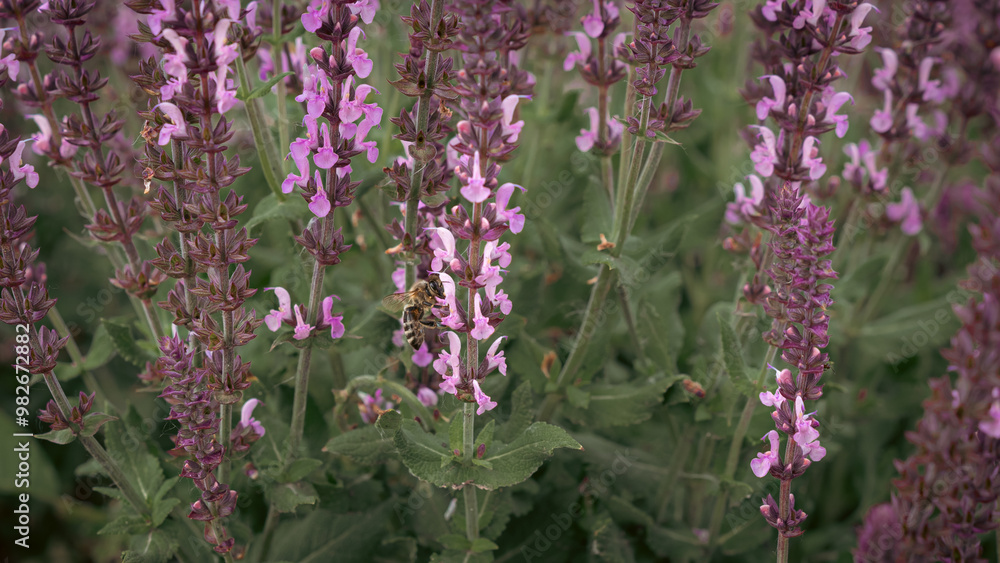 Obraz premium The scene shows a simple yet profound interaction between a bee and the blossoms. Nature’s vivid colors blend seamlessly in this peaceful moment.