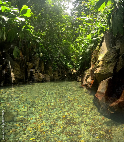 clear water and nature canyon of Riviere moustique, Petit Bourg, Guadeloupe. Idyllic caribbean jungle and river