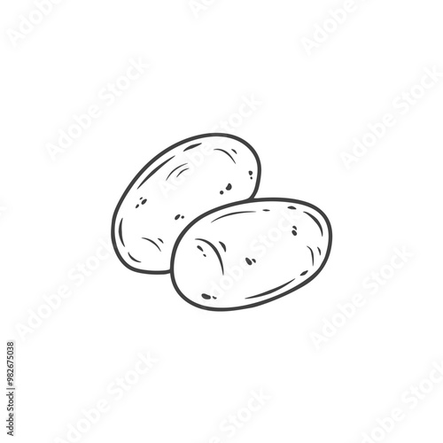 hand drawn potato in sketch style. Potato doodle. Vector illustration
