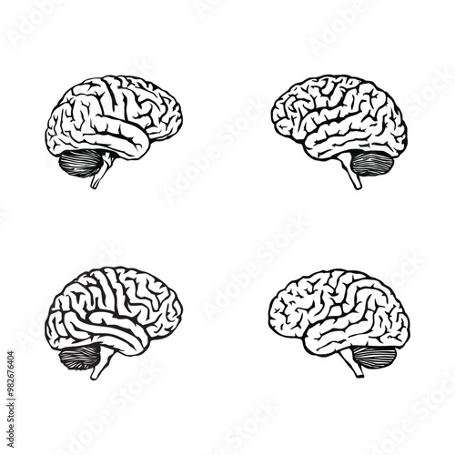 Black and white vector silhouettes set of human brain
