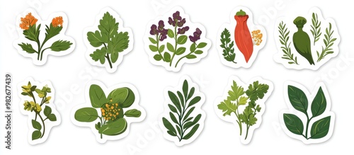 Flat Design Stickers of Culinary Herbs and Food Ingredients