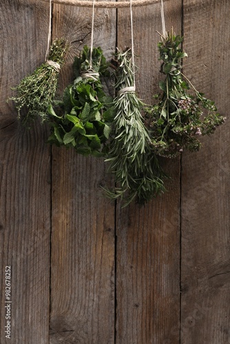 Bunches of different aromatic herbs hanging on rope near wooden wall