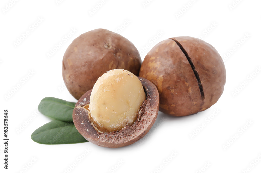 Macadamia nuts with shells isolated on white Macadamia nuts with shells isolated on white