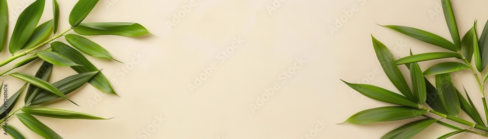 Fototapeta premium Frame with traditional Chinese calligraphy and bamboo design, elegant and artistic