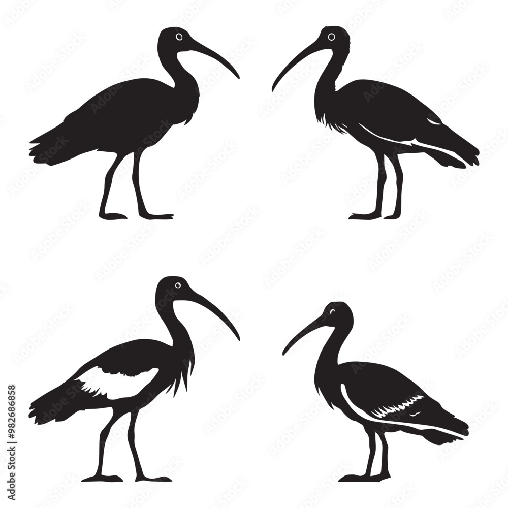Fototapeta premium Black and white vector silhouettes set of ibis