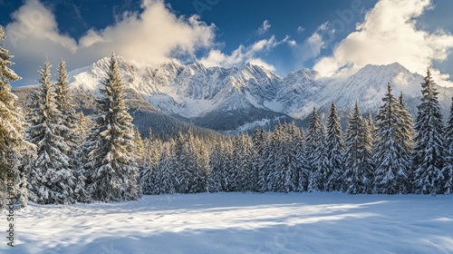 winter landscape mountains snow forest