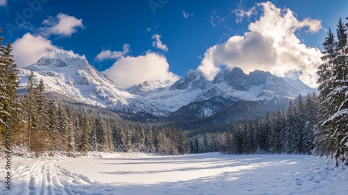 winter landscape mountains snow forest