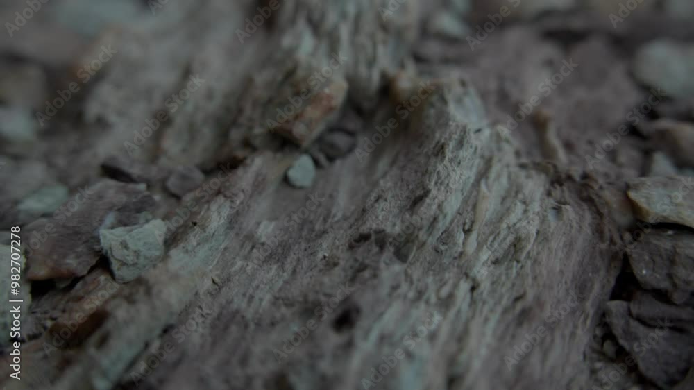 Close-up of Rocky Terrain with Cracked Stones. shallow dof. Close-up of Rocky Terrain with Cracked Stones. shallow dof.