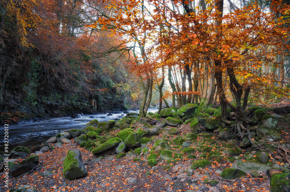 Enchanting Autumn Scene at River Almond, Cramond, Edinburgh, Scotland - Vibrant Golden Leaves and Moss-Covered Rocks Surround the Serene Flowing River Near the Cramond Village Enchanting Autumn Scene at River Almond, Cramond, Edinburgh, Scotland - Vibrant Golden Leaves and Moss-Covered Rocks Surround the Serene Flowing River Near the Cramond Village