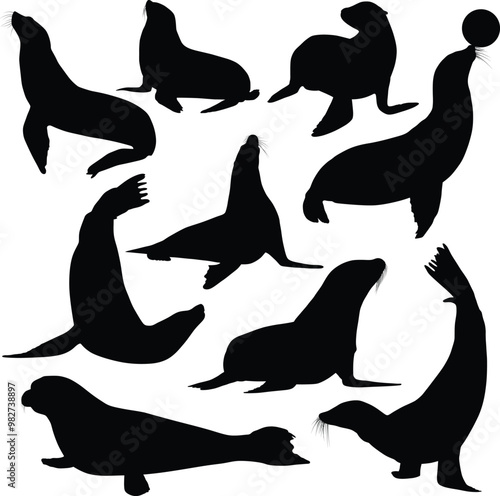 seals silhouette