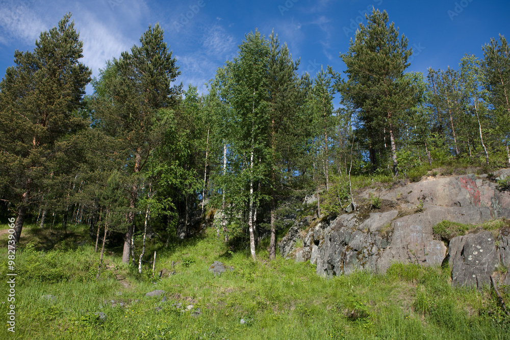 Russia Karelia landscape on a sunny summer day Russia Karelia landscape on a sunny summer day