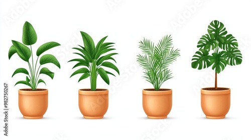 A collection of four decorative houseplants in stylish pots, perfect for modern home decor and adding greenery to any space.