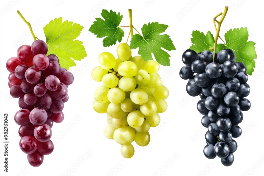 Fototapeta premium Set of various types of grapes (Black, white and red grape) with leaf flying isolated on white background , ai