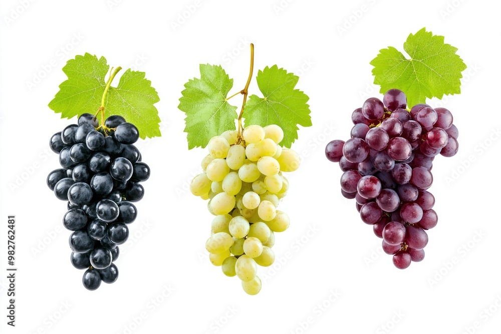Obraz premium Set of various types of grapes (Black, white and red grape) with leaf flying isolated on white background , ai