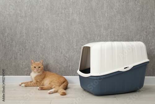 Cute ginger cat lying near litter box on floor indoors photo