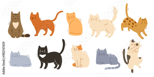 Cute different home cat set. Vector flat pets poses collection. Cat breeds bundle.