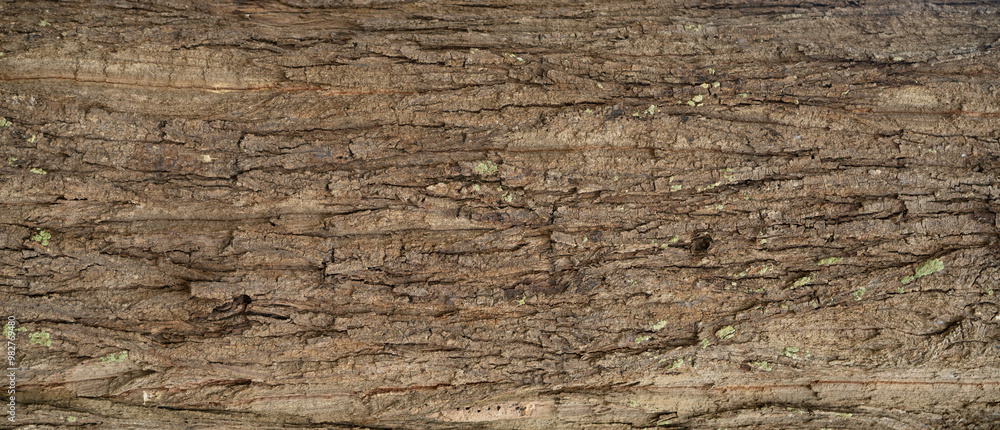 Close-up old tree bark. Natural patterns and rough texture. Organic material ideal for eco-friendly design projects emphasizing sustainability and carbon neutrality. Backdrop for eco-conscious project Close-up old tree bark. Natural patterns and rough texture. Organic material ideal for eco-friendly design projects emphasizing sustainability and carbon neutrality. Backdrop for eco-conscious project