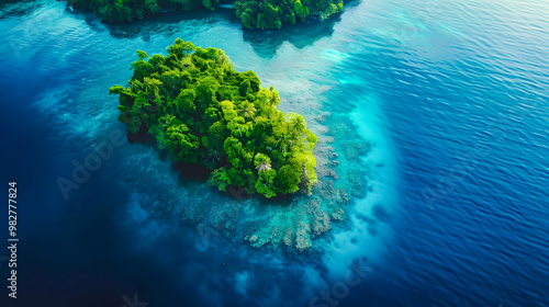 Fototapeta Naklejka Na Ścianę i Meble -  top view of beautiful tropical island with dense trees, with white sand beach and clear blue waters. concept of vacation with family. 4K Island Wallpaper