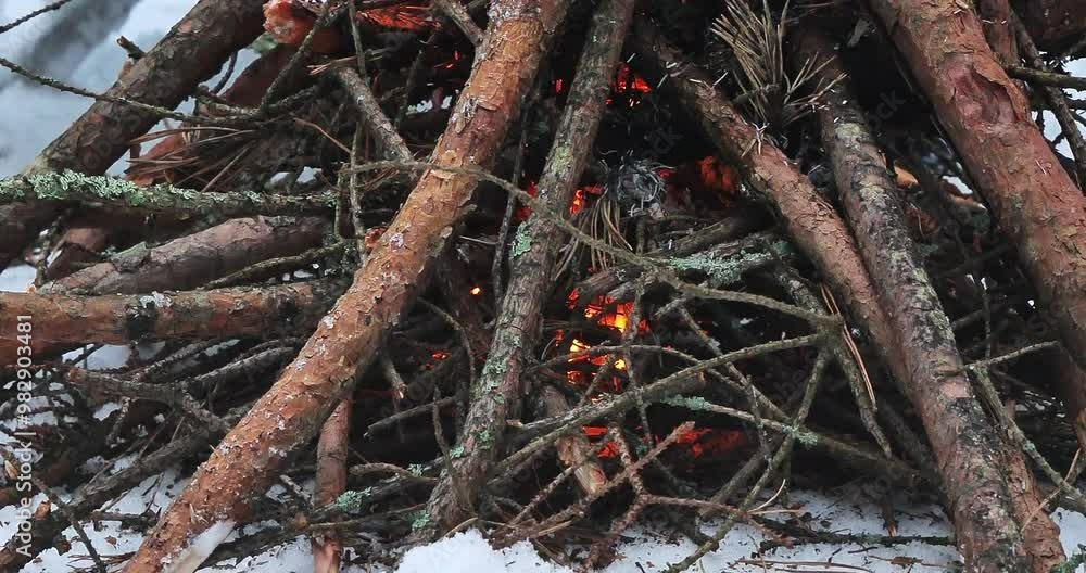 A camper adds kindling to a fire, creating warmth against the cold snow. The flames flicker in the night, illuminating the surrounding winter forest. A male camper in a forest in winter. A camper adds kindling to a fire, creating warmth against the cold snow. The flames flicker in the night, illuminating the surrounding winter forest. A male camper in a forest in winter.