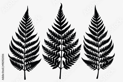 A pack of fern leaf silhouettes vector illustration