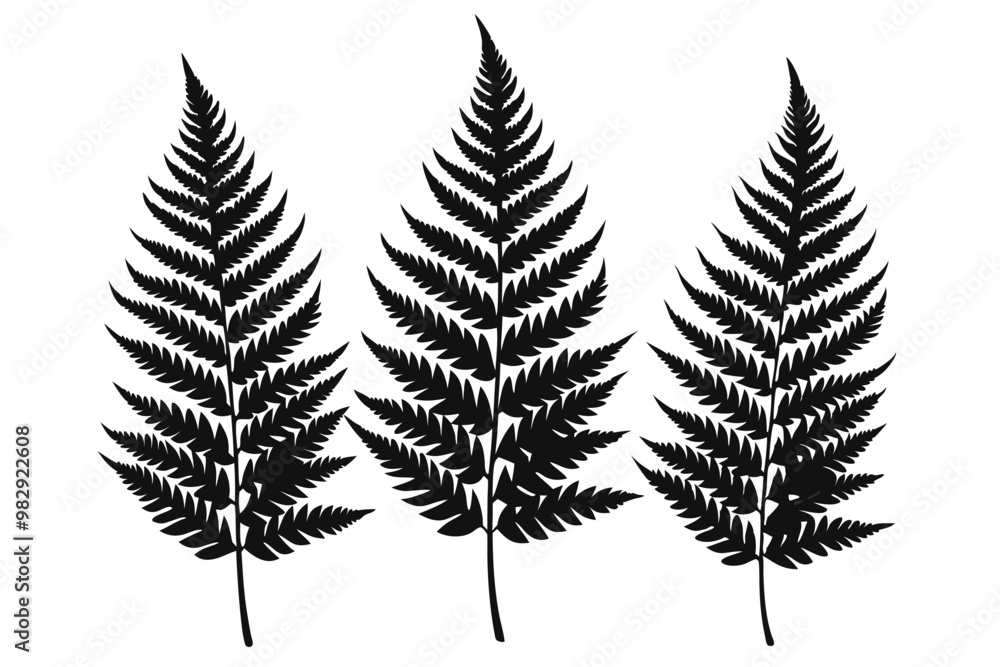 A pack of fern leaf silhouettes vector illustration A pack of fern leaf silhouettes vector illustration