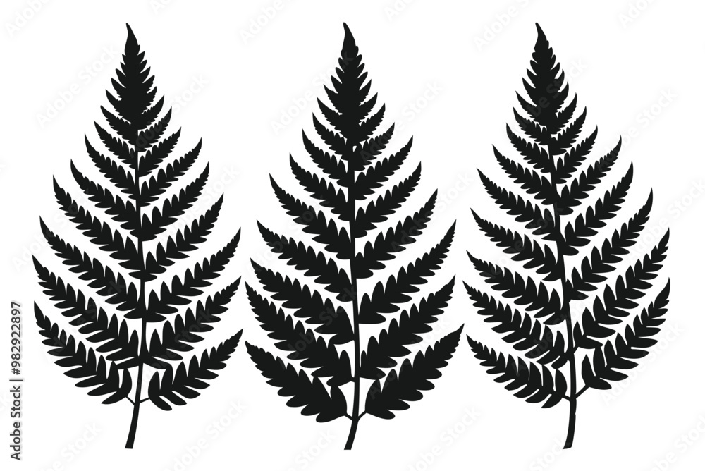 A pack of fern leaf silhouettes vector illustration A pack of fern leaf silhouettes vector illustration
