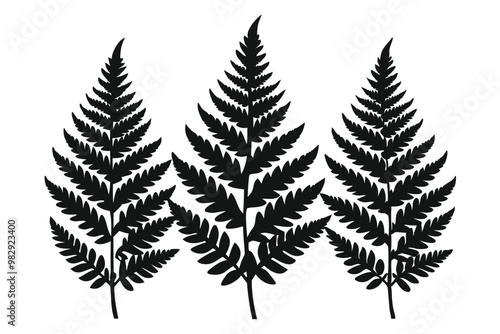 A pack of fern leaf silhouettes vector illustration