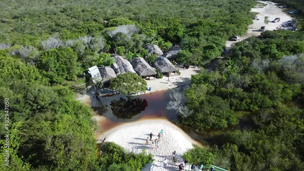 Drone view of a forest with straw houses, revealing a white desert with people and Brazilian flag Drone view of a forest with straw houses, revealing a white desert with people and Brazilian flag