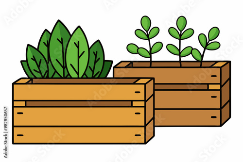 Ecological plants with leaves inside flowerpot