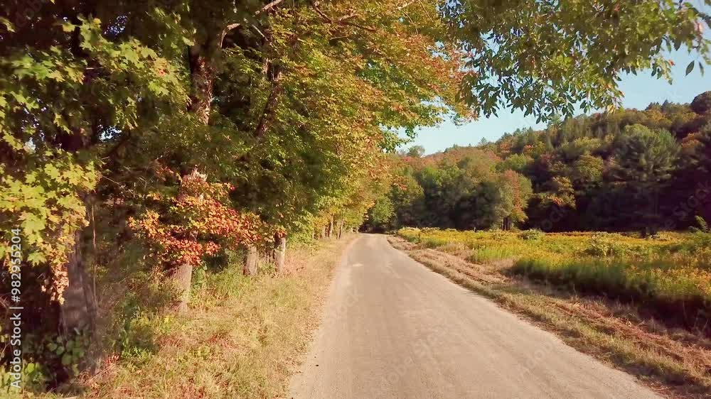 4K drone video down a rural dirt road with fall autumn foliage on the trees. Country path in Vermont, New England, USA. 4K drone video down a rural dirt road with fall autumn foliage on the trees. Country path in Vermont, New England, USA.