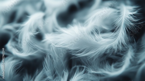 A close-up capture of delicate white feathers, providing a sense of lightness, purity, and tranquility, with a soft, dreamy visual texture that evokes a sense of peace. photo