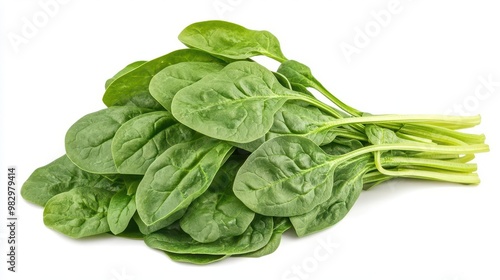 fresh bundle of vibrant green spinach leaves isolated on pure white background crisp detailed closeup showcasing leafy textures and natural variations in color
