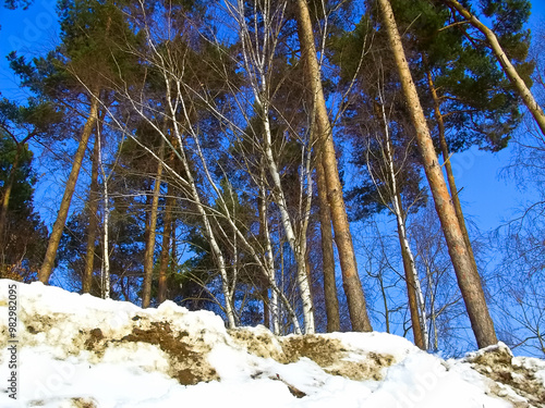 Schneelandschaft in der Uckermark photo