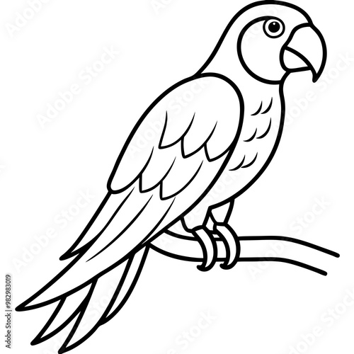 Abstract Parrot Perch Clean Line Art on White Vector