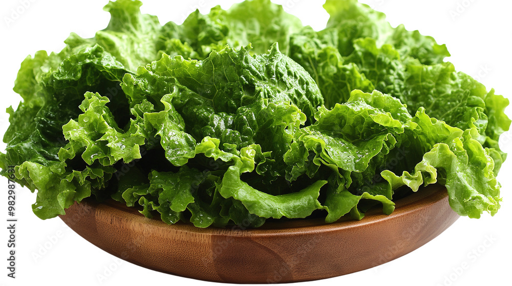 lettuce in a bowl isolated on white background lettuce in a bowl isolated on white background