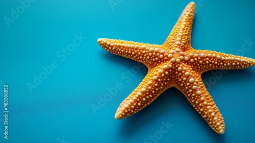 A starfish sits on a blue backdrop.