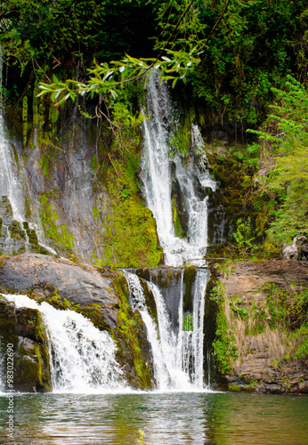 waterfall in the forest