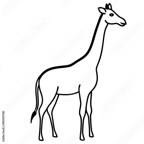 Minimalist Giraffe Outline with Extended Neck on White photo