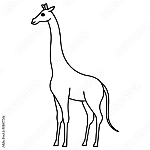 Minimalist Giraffe Outline with Extended Neck on White photo