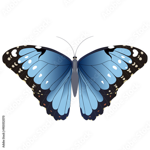 Foto borboleta azul morpho