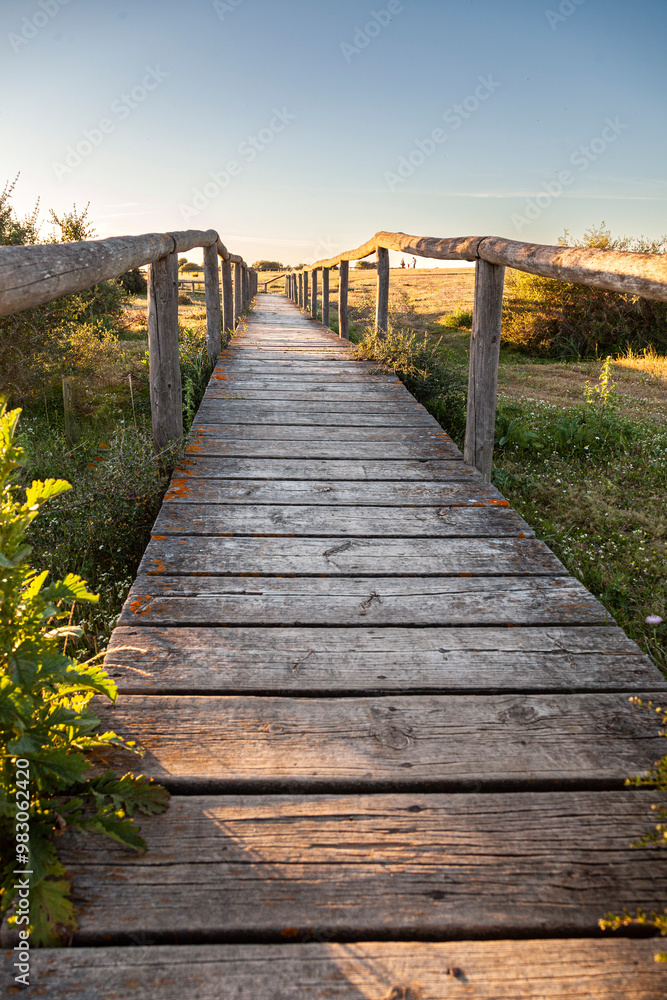 Obraz premium pasarela como un puente de madera con tablones en el campo para atravesar un rio con colores del atardecer